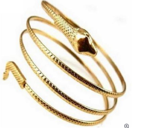Snake Design Bangle